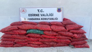 Jandarmadan kaçak midye operasyonu