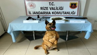 Jandarmadan uyuşturucu operasyonu: 1 gözaltı