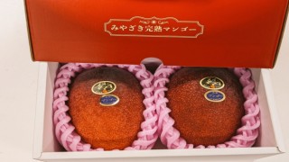 Japonyada iki mango 58 bin 300 liraya alıcı buldu