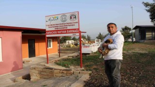 Japonyadan kazandığını can dostlarına harcıyor