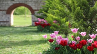 Kağıthanede lale mevsimi başladı