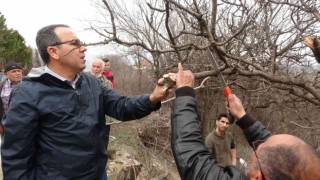 Karabükte yetiştirilecek fıstık, köylüler için gelir kaynağı olacak