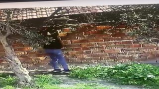 Karacabeyde 6 hırsızlık şüphelisi tutuklandı