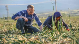 Karacabeyde arazi yollarına rahat ve güvenli ulaşım için düzenlemeler sürüyor