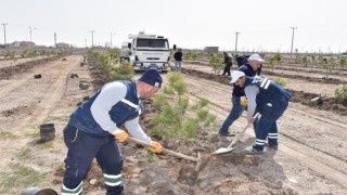 Karatayda ağaçlandırma çalışmaları sürüyor