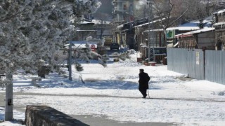 Kars eksi 13 ile dondu, ağaçlar kırağı tuttu