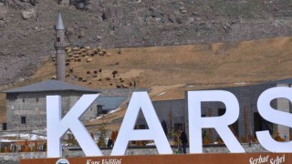 Kars Vadisinde koyunlar otluyor