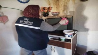Kaşta ihtiyaç sahibi kişilerin evleri belediye tarafından temizleniyor