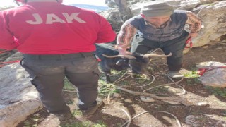 Kayalıklarda mahsur kalan keçi kurtarıldı