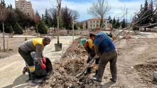 Keçiörende hummalı yaz hazırlığı