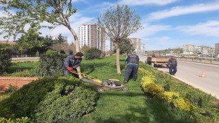 Kilisteki park ve refüjlerde yaz hazırlığı