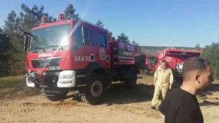 Kırklarelinde orman yangını: 12 dekar alan zarar gördü