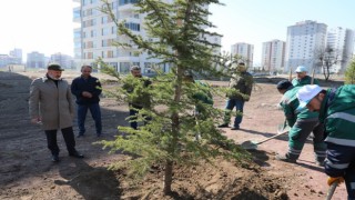 Kocasinan ağaç dikim sezonunu açtı