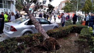 Kökünden sökülen ağaç park halindeki otomobilin üzerine devrildi