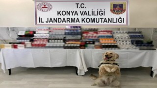 Konyada 2 bin 763 paket kaçak sigara ele geçirildi