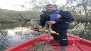 Konyada baraj gölündeki balıklar üreme döneminde denetimlerle korunuyor