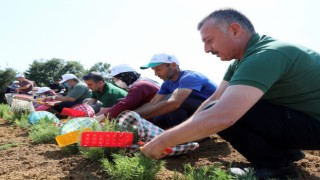 Kooperatif ve birliklere yüzde 75 hibe desteği