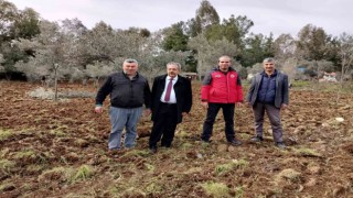 Köyceğizde fideler toprakla buluştu