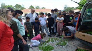 Köyceğizde öğrencilere ata tohumu fideleri dağıtıldı