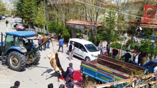 Köylüler bela ve kazalara karşı kurban kesip dua etti