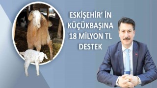 Küçükbaş hayvancılığa 18 milyon lira destek