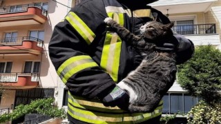 Kurtarılan kedi itfaiye erinin kucağından inmedi