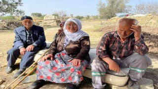 Kurtlar 25 koyunu telef etti, 3 ailenin geçim kaynağı yok oldu