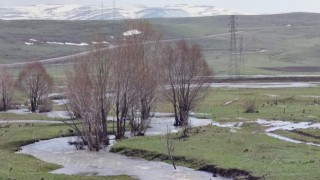 Kuru dere suya kavuştu