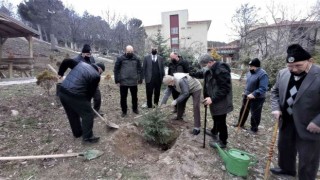 Kütahyada yaşlılar fidan dikti