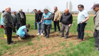 Kütahyada Zabrus seferberliği