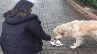 Lise öğrencileri değerleri öğreniyor