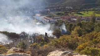 Makilik yangını ormana sıçramadan söndürüldü