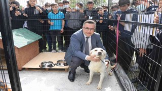 Manisa Büyükşehir Belediyesinden Can Dostum projesi