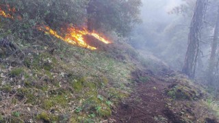 Manisada 30 dekar karaçam ormanı yandı