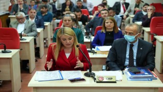 Merkezefendi Belediyesi 2021 yılı faaliyet raporu kabul edildi