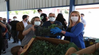 Merkezefendide son 2 yılda 660 ton sağlıklı ve doğal sebze üretildi