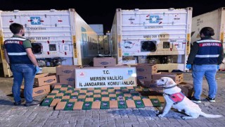 Mersinde muz kolileri içerisine gizlenmiş 258 kilo kokain ele geçirildi