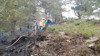 Mersinde orman yangını büyümeden söndürüldü