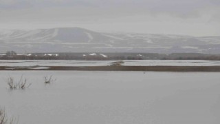 Meteorolojinden Kars için ‘sarı uyarı