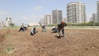 Mezitlide ihtiyaç sahipleri için sebze bahçesi