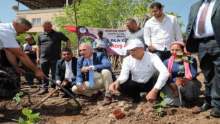 Mezitlili kadınlar aronya üretimi için ilk fidanları toprakla buluşturdu
