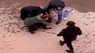 Minik Asiyeye pitbull saldırısında tahliye edilen 3 sanık tekrar tutuklandı