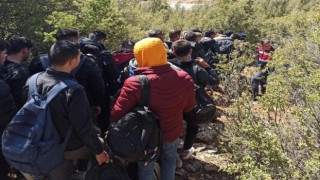 Muğlada son 4 ayda 2311 düzensiz göçmen yakalandı
