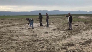 Muşta tarım arazileri su altında kaldı