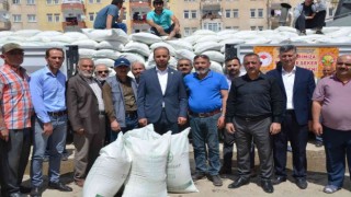 Niğdeli arıcılara 108 ton şeker dağıtıldı