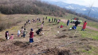 Öğrenciler kardeşlik ormanına 100 fidan dikti