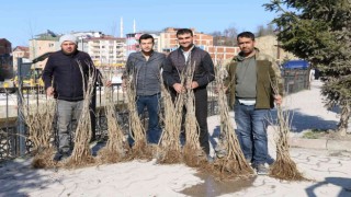 Orduda ipek böcekçiliği yaygınlaşıyor