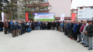 Orduda küçükbaş hayvan yetiştiriciliği gelişiyor
