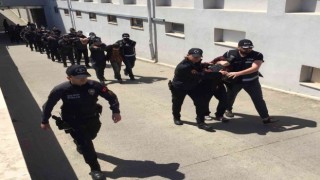 Organize suç örgütünde aile içi infaz iddiası
