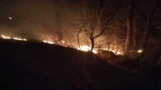 Osmaniyede orman yangını